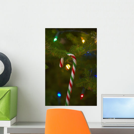 Candy Cane On A Tree Wall Mural