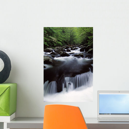 Scenic Creek, Tennessee, Usa Wall Mural