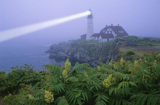 Lighthouse In The Evening, Portland, Oregon, Usa Wall Mural