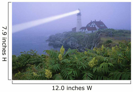 Lighthouse In The Evening, Portland, Oregon, Usa Wall Mural