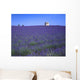 Lavender Field In Southern France Wall Mural