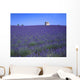 Lavender Field In Southern France Wall Mural