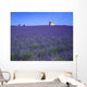 Lavender Field In Southern France Wall Mural