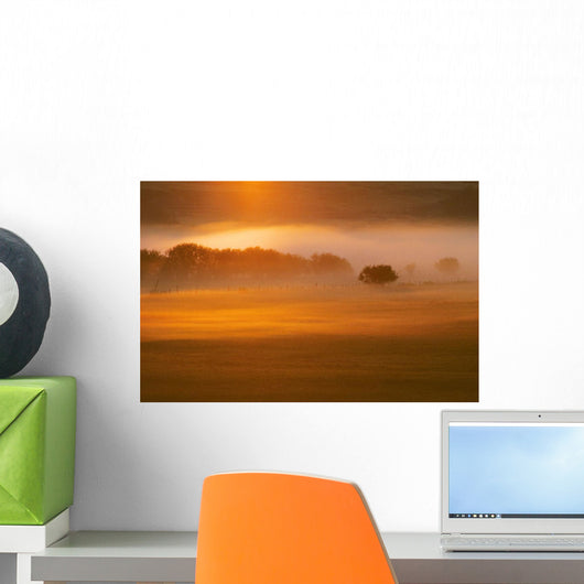 Foggy Sunset Wall Mural
