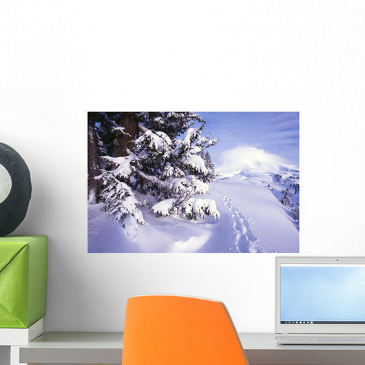 Tracks In The Snow Wall Mural