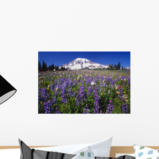 Purple Flowers Blooming Beneath Mount Rainier, Paradise Park Valley Wall Mural