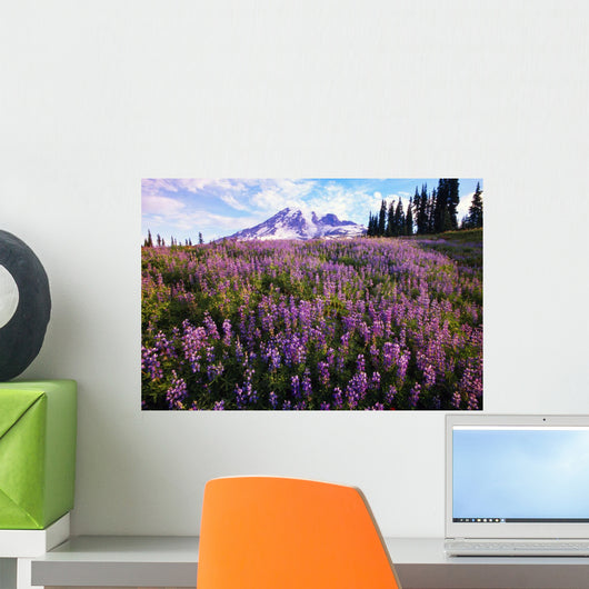 Meadow Of Purple Flowers Blooming Wall Mural