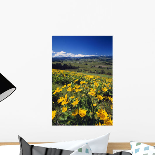 Yellow Flowers Blooming, Hood River Valley, Mount Hood Wall Mural