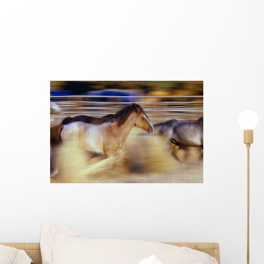 Blurred View Of Horses Running Through Dusty Early Morning Light Wall Mural