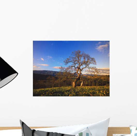 Leafless Oak Tree Wall Mural