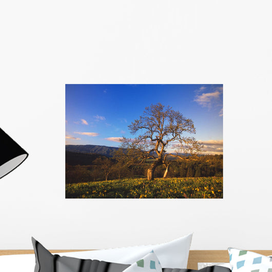 Leafless Oak Tree Wall Mural