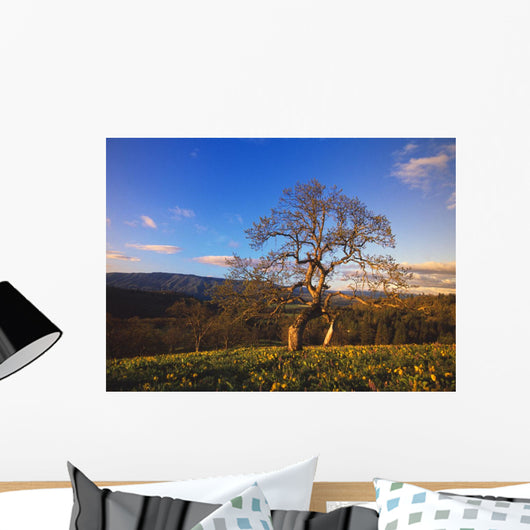 Leafless Oak Tree Wall Mural