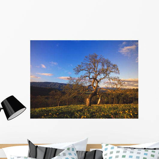 Leafless Oak Tree Wall Mural