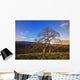 Leafless Oak Tree Wall Mural