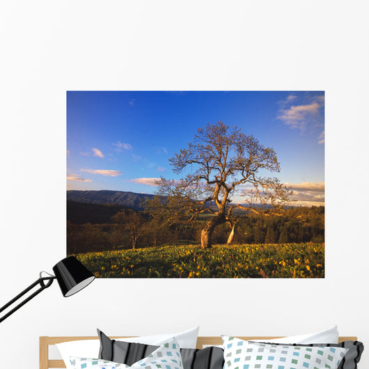 Leafless Oak Tree Wall Mural