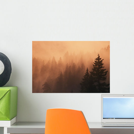 Sunset Through Dense Fog Wall Mural