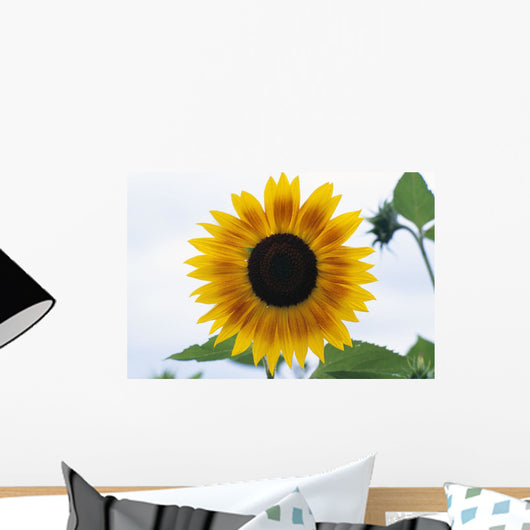 Close-Up Of Blooming Sunflower Wall Mural