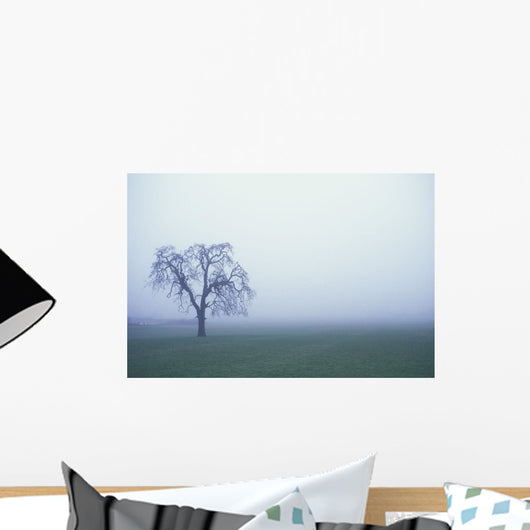 Tree Silhouette In Fog Wall Mural
