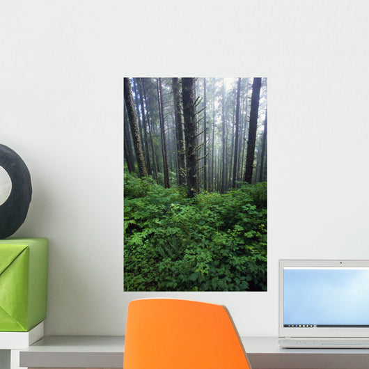 Lush Foliage And Bare Trees In Fog Wall Mural