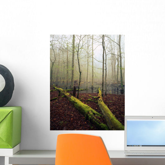 Great Smoky Mountains National Park Wall Mural