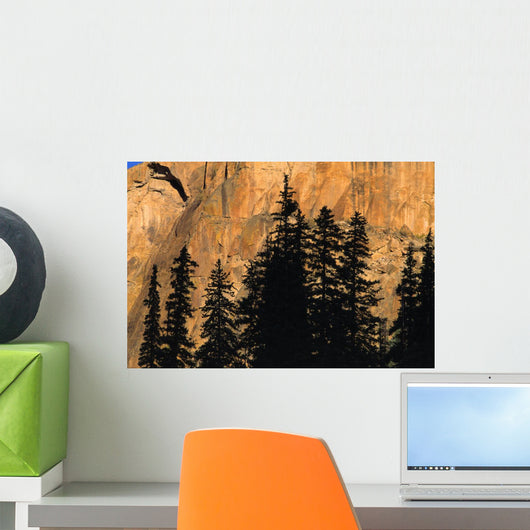 Tree Silhouettes In Front Of Cliff Face Wall Mural