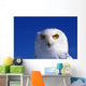Snowy Owl, Looking At Camera, Stern Expression Wall Mural
