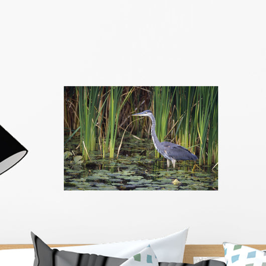 Great Blue Heron Wall Mural