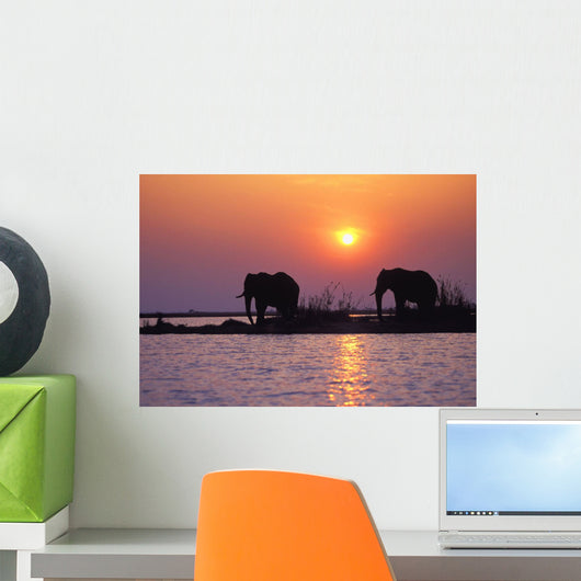 Elephant Silhouettes Wall Mural