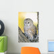 Barred Owl Roosting In Tree Wall Mural