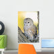 Barred Owl Roosting In Tree Wall Mural