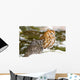 Two Screech Owls Wall Mural