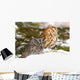 Two Screech Owls Wall Mural