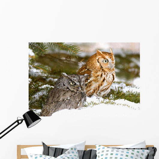 Two Screech Owls Wall Mural