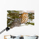 Two Screech Owls Wall Mural