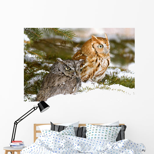 Two Screech Owls Wall Mural