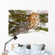 Two Screech Owls Wall Mural
