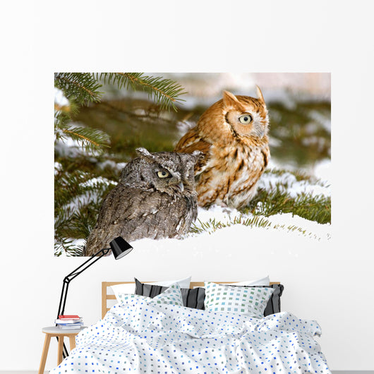 Two Screech Owls Wall Mural