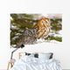 Two Screech Owls Wall Mural