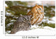 Two Screech Owls Wall Mural