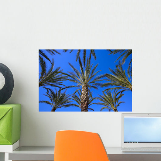 Palm Trees Wall Mural
