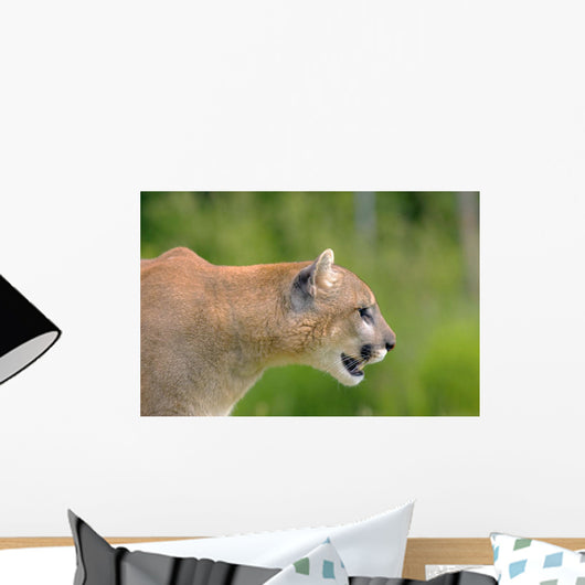 Cougar Profile Wall Mural