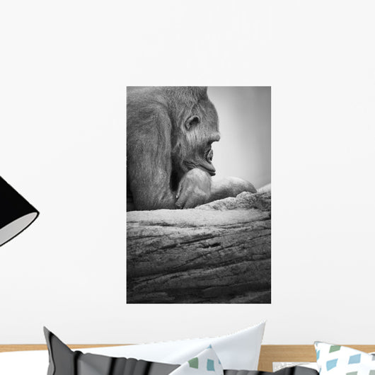 Gorilla Resting Wall Mural
