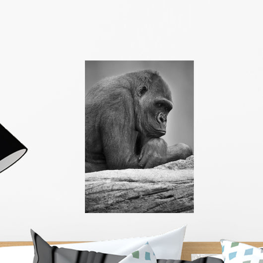 Gorilla Portrait Wall Mural