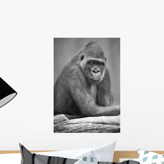 Monkey Wall Mural