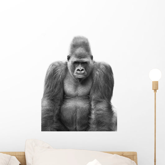 Gorilla Wall Mural