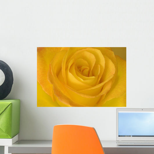 Yellow Tea Rose Wall Mural