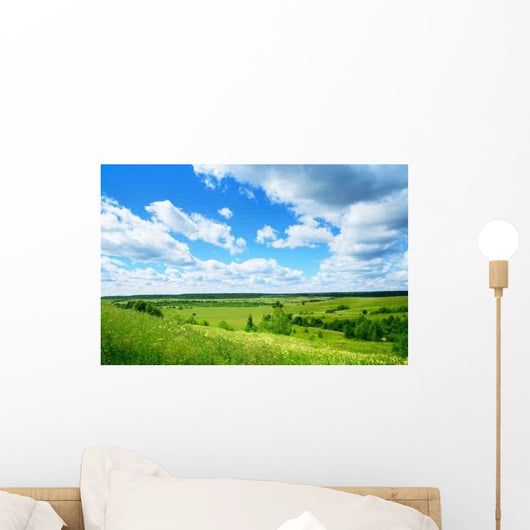 Field Summer Flowers and Wall Decal Design 2