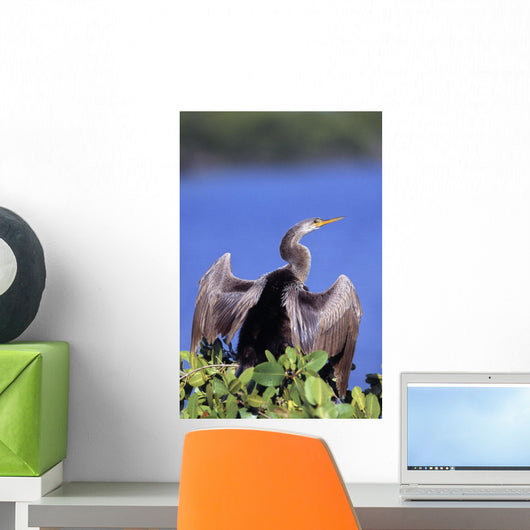 Anhinga Wall Mural