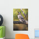 Long Eared Owl On Branch Wall Mural