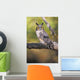 Long Eared Owl On Branch Wall Mural